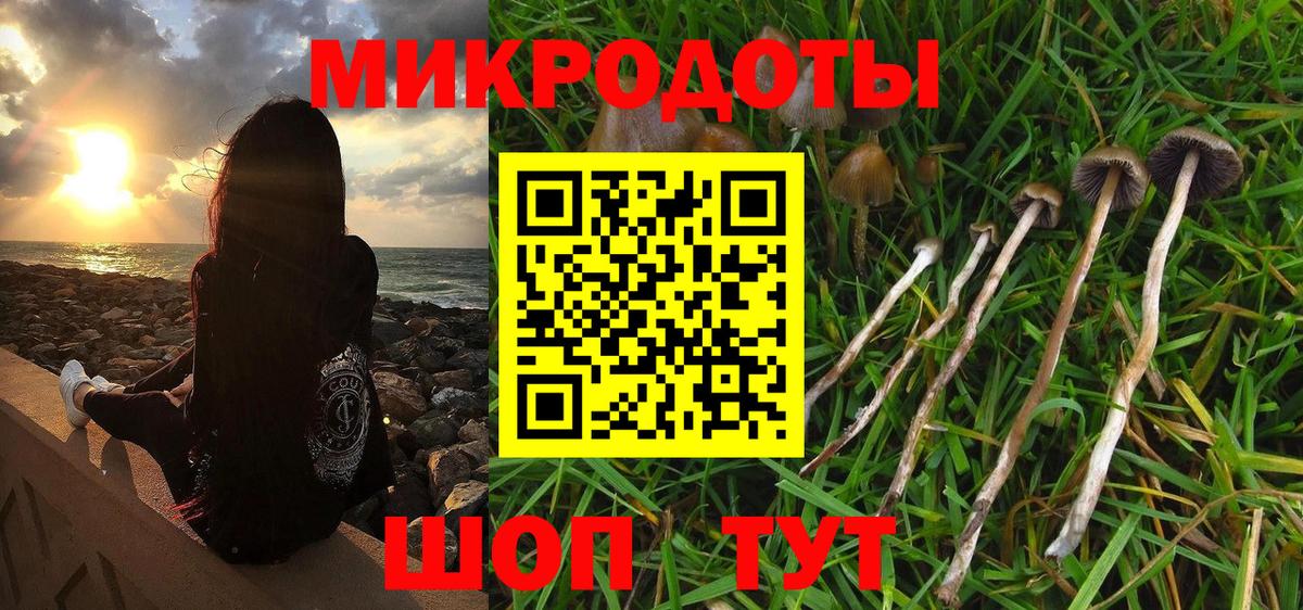 Галлюциногенные грибы мицелий  Вход с VPN  Владимир 