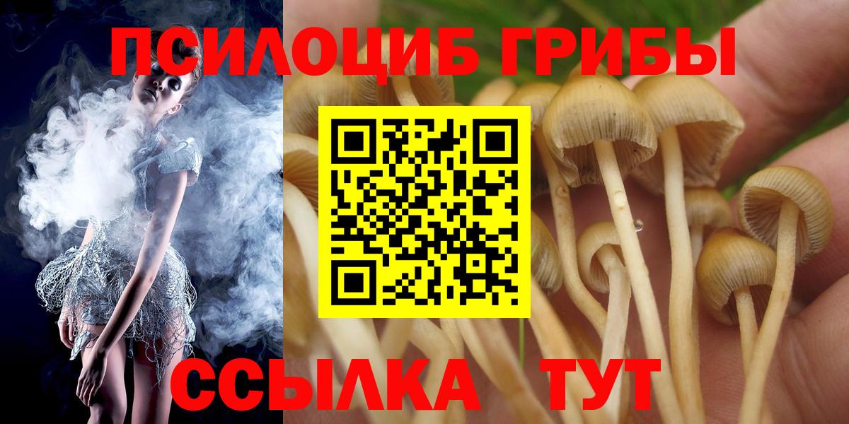 Галлюциногенные грибы Psilocybine cubensis Владимир